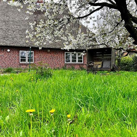 Apartamento Elbkoje Drage  Exterior foto